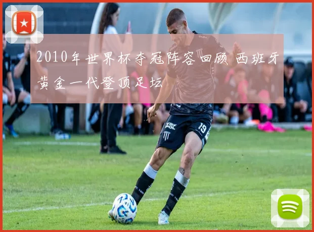 2010年世界杯夺冠阵容回顾 西班牙黄金一代登顶足坛