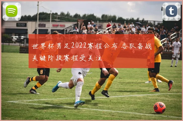 世界杯男足2022赛程公布 各队备战关键阶段赛程受关注