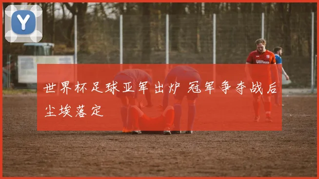 世界杯足球亚军出炉 冠军争夺战后尘埃落定
