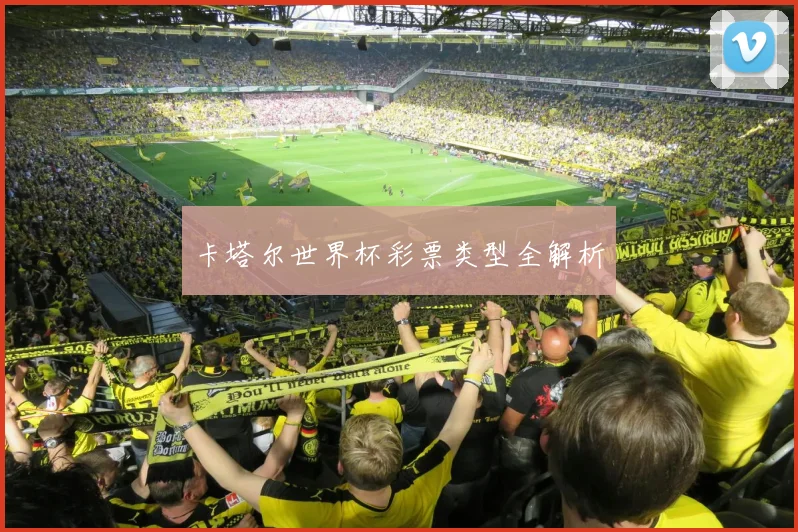 卡塔尔世界杯彩票类型全解析