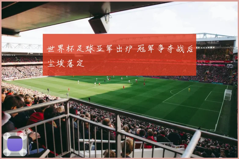 世界杯足球亚军出炉 冠军争夺战后尘埃落定