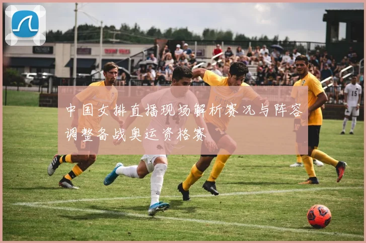 中国女排直播现场解析赛况与阵容调整备战奥运资格赛